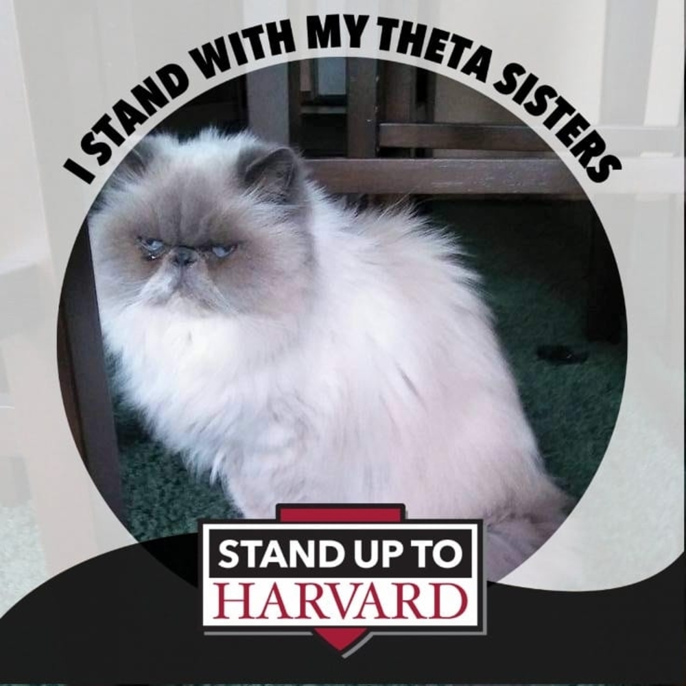 Meet your Posher, Shleigh